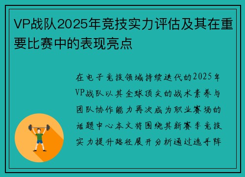 VP战队2025年竞技实力评估及其在重要比赛中的表现亮点